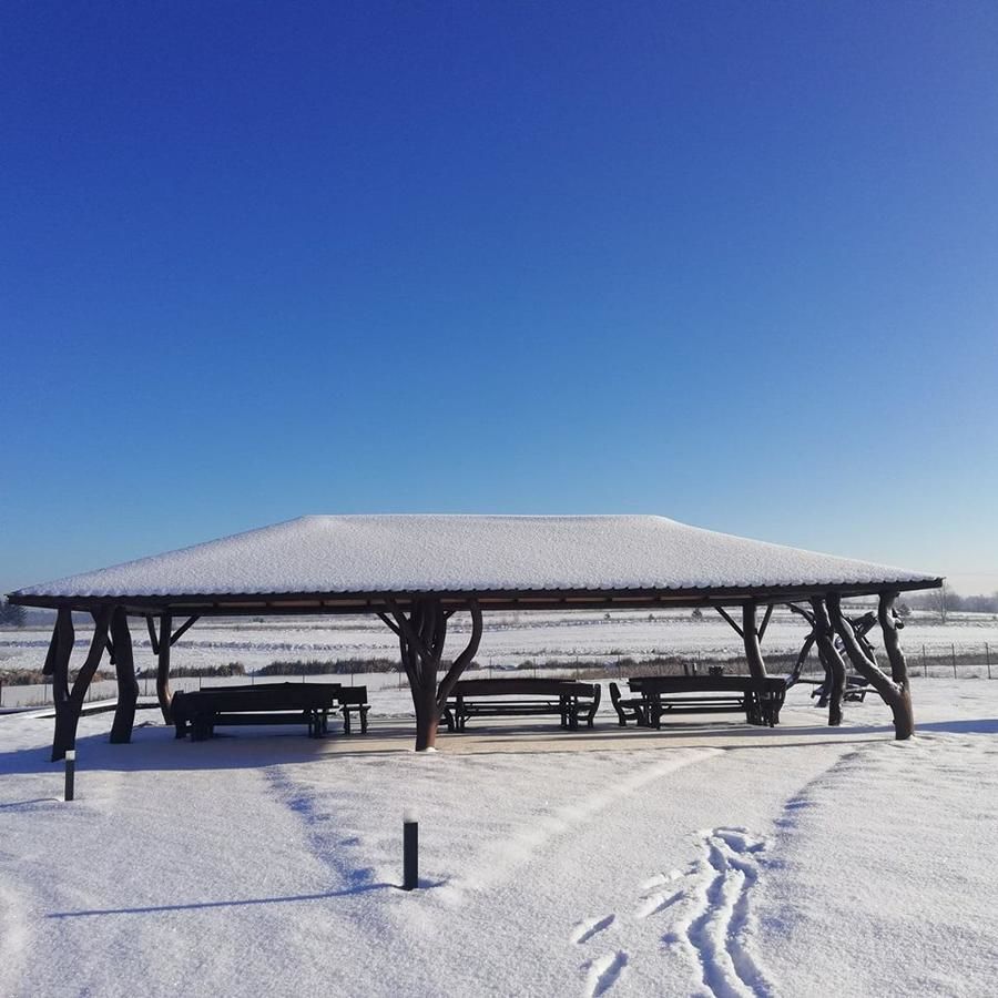 Лоджи Biały Łabędź Wilków-43