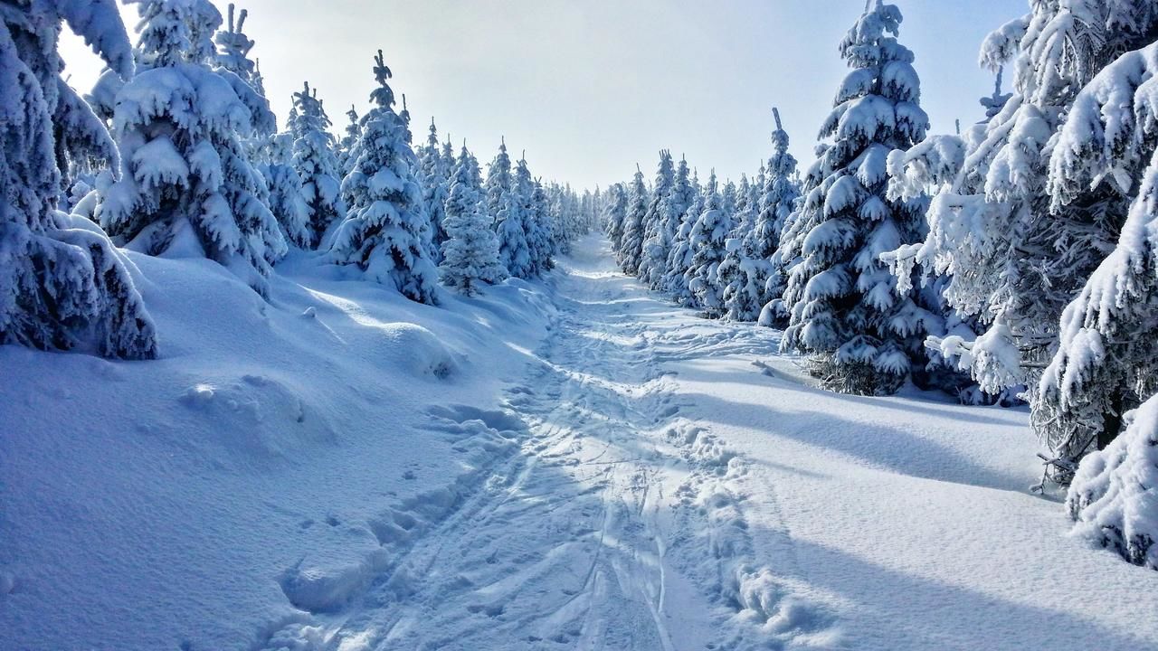 Лоджи Biały Łabędź Wilków-46